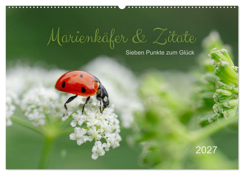 Marienkäfer & Zitate - Sieben Punkte zum Glück (Wandkalender 2027 DIN A2 quer) CALVENDO Monatskalender