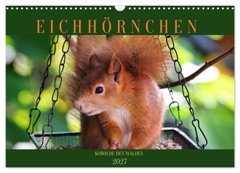 Eichhörnchen Kobolde des Waldes (Wandkalender 2027 DIN A3 quer) CALVENDO Monatskalender