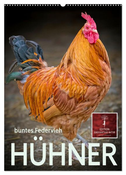 Hühner - buntes Federvieh (Wandkalender 2027 DIN A2 hoch) CALVENDO Monatskalender