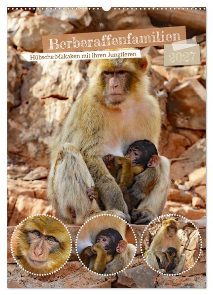 Berberaffenfamilien (Wandkalender 2027 DIN A2 hoch) CALVENDO Monatskalender