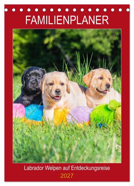 Familienplaner - Labrador Welpen entdecken die Welt (Tischkalender 2027 DIN A5 hoch) CALVENDO Monatskalender
