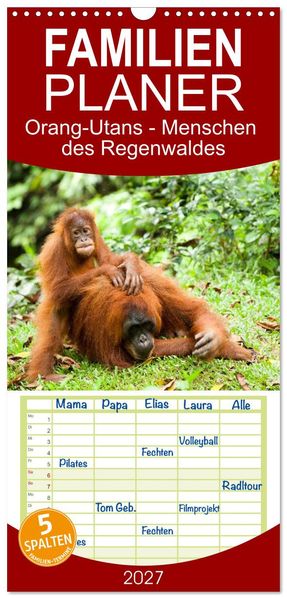 Familienplaner 2027 - Orang-Utans - Menschen des Regenwaldes mit 5 Spalten (Wandkalender 21 x 45 cm) CALVENDO