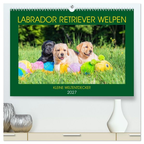 Labrador Retriever Welpen - Kleine Weltentdecker (hochwertiger Premium Wandkalender 2027 DIN A2 quer) Kunstdruck in Hochglanz