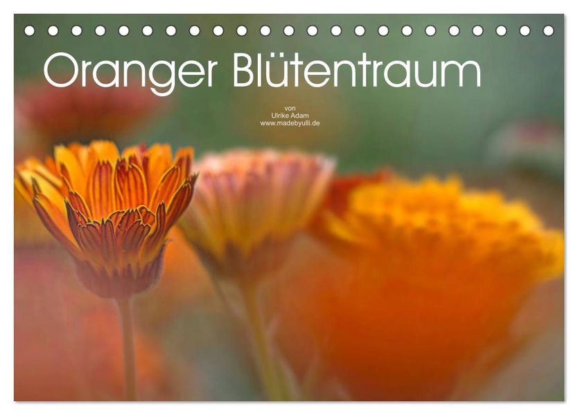 Oranger Blütentraum (Tischkalender 2027 DIN A5 quer) CALVENDO Monatskalender