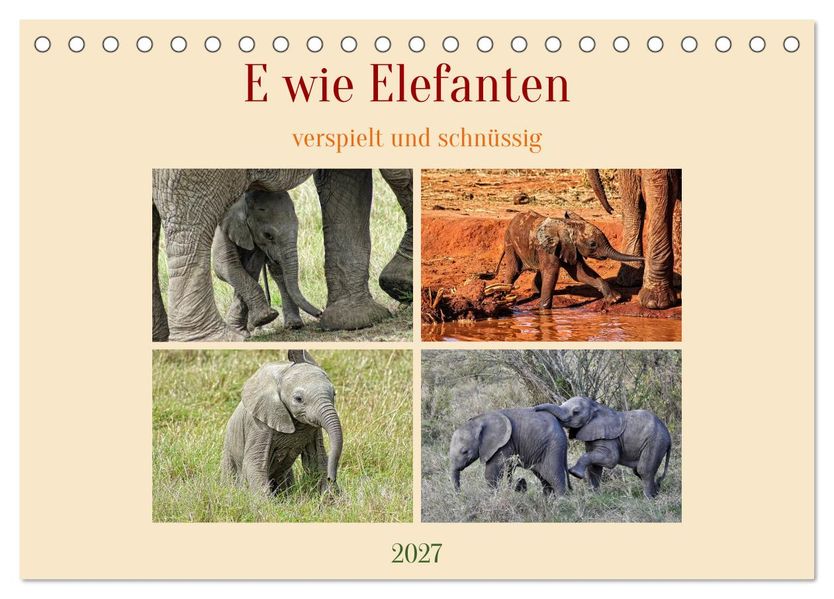 E wie Elefanten - verspielt und schnüssig (Tischkalender 2027 DIN A5 quer) CALVENDO Monatskalender