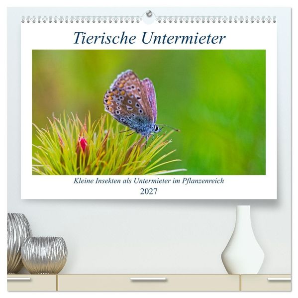 Tierische Untermieter (hochwertiger Premium Wandkalender 2027 DIN A2 quer) Kunstdruck in Hochglanz