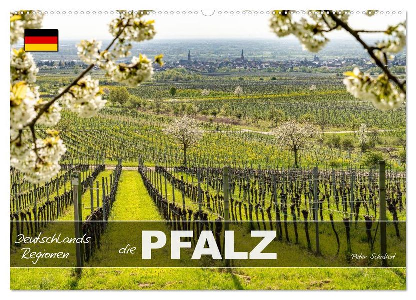 Deutschlands Regionen - die Pfalz (Wandkalender 2027 DIN A2 quer) CALVENDO Monatskalender