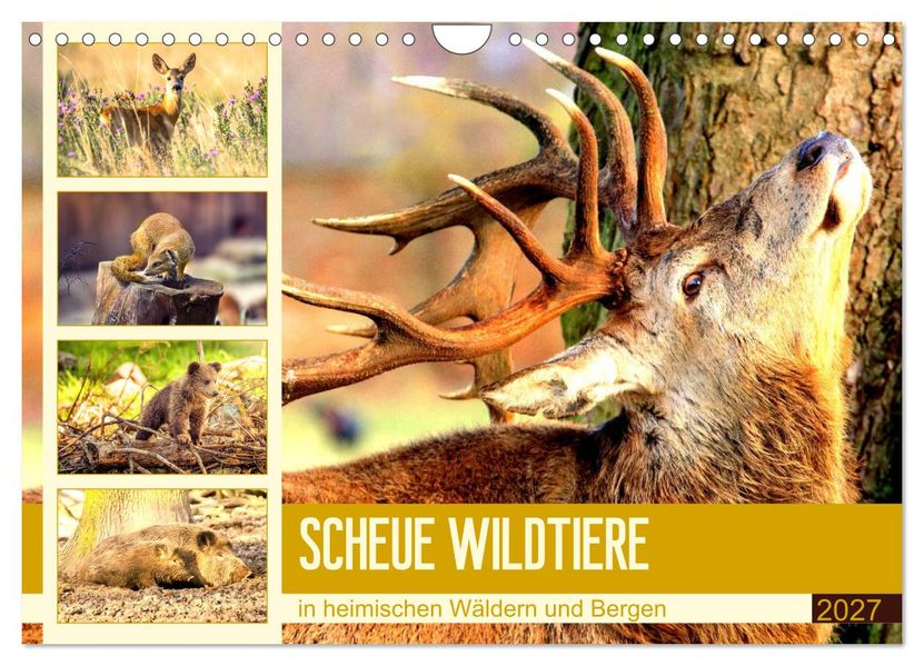 Scheue Wildtiere in heimischen Wäldern und Bergen (Wandkalender 2027 DIN A4 quer) CALVENDO Monatskalender