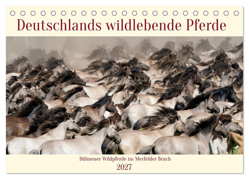 Deutschlands wildlebende Pferde (Tischkalender 2027 DIN A5 quer) CALVENDO Monatskalender