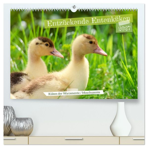 Entzückende Entenküken (hochwertiger Premium Wandkalender 2027 DIN A2 quer) Kunstdruck in Hochglanz