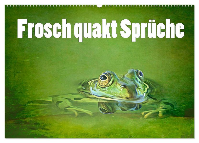 Frosch quakt Sprüche (Wandkalender 2027 DIN A2 quer) CALVENDO Monatskalender