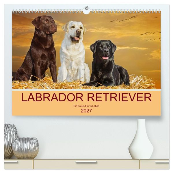 Labrador Retriever - Ein Freund fürs Leben (hochwertiger Premium Wandkalender 2027 DIN A2 quer) Kunstdruck in Hochglanz