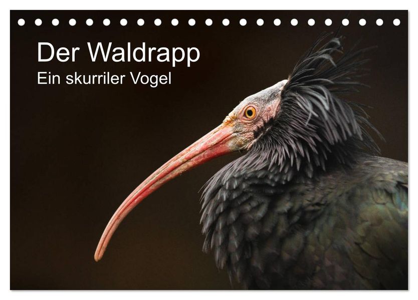 Der Waldrapp - Ein skurriler Vogel (Tischkalender 2027 DIN A5 quer) CALVENDO Monatskalender
