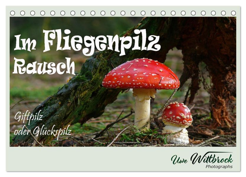 Im Fliegenpilz Rausch (Tischkalender 2027 DIN A5 quer) CALVENDO Monatskalender