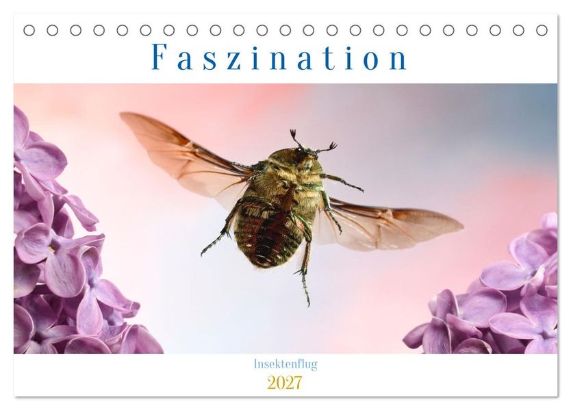 Faszination Insektenflug (Tischkalender 2027 DIN A5 quer) CALVENDO Monatskalender