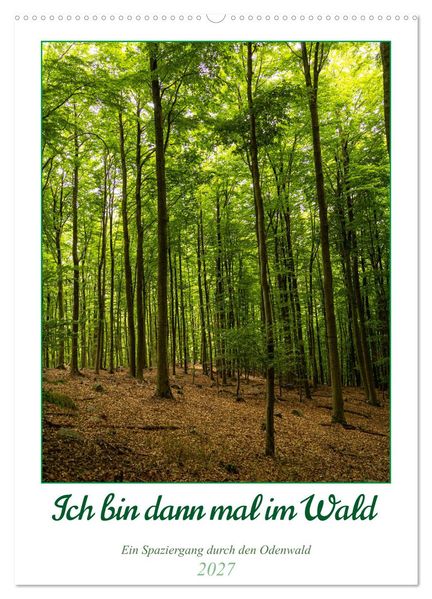 Ich bin dann mal im Wald (Wandkalender 2027 DIN A2 hoch) CALVENDO Monatskalender