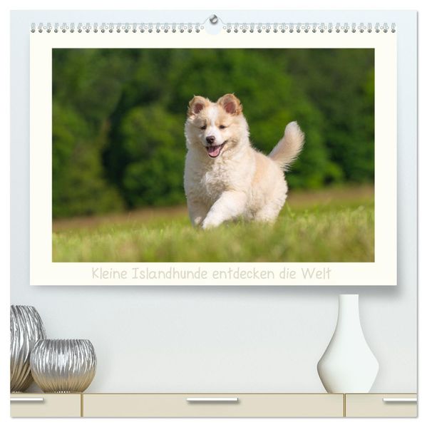 Kleine Islandhunde entdecken die Welt (hochwertiger Premium Wandkalender 2027 DIN A2 quer) Kunstdruck in Hochglanz