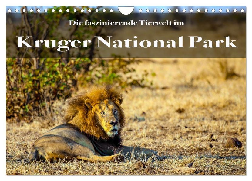Faszinierende Tierwelt des Kruger National Parks (Wandkalender 2027 DIN A4 quer) CALVENDO Monatskalender