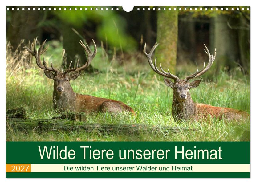 Wilde Tiere unserer Heimat (Wandkalender 2027 DIN A3 quer) CALVENDO Monatskalender