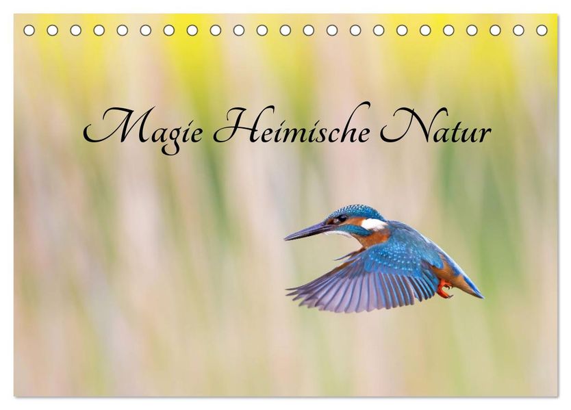 Magie Heimische Natur (Tischkalender 2027 DIN A5 quer) CALVENDO Monatskalender