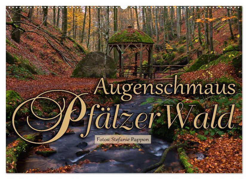 Augenschmaus Pfälzer Wald (Wandkalender 2027 DIN A2 quer) CALVENDO Monatskalender