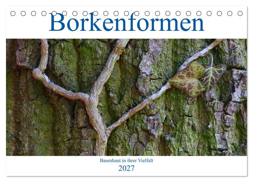 Borkenformen (Tischkalender 2027 DIN A5 quer) CALVENDO Monatskalender