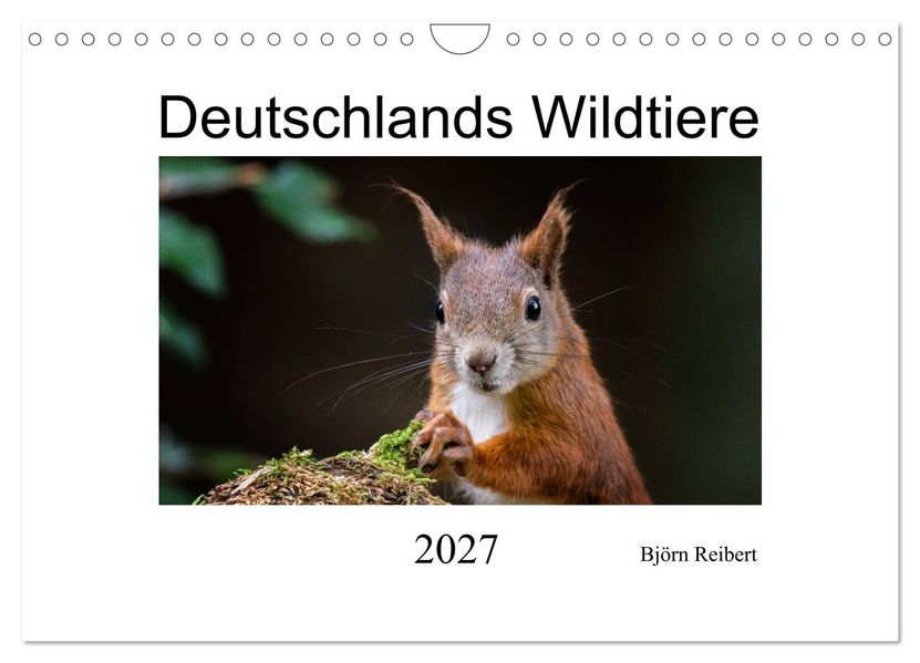 Deutschlands Wildtiere (Wandkalender 2027 DIN A4 quer) CALVENDO Monatskalender