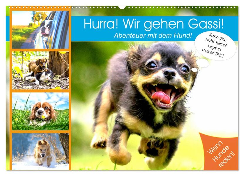 Hurra! Wir gehen Gassi! Abenteuer mit dem Hund! (Wandkalender 2027 DIN A2 quer) CALVENDO Monatskalender