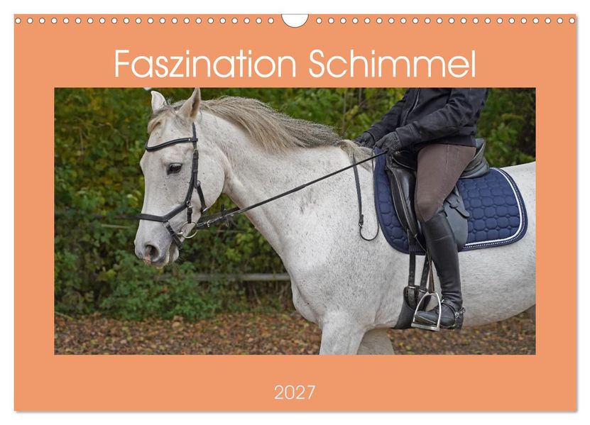 Faszination Schimmel (Wandkalender 2027 DIN A3 quer) CALVENDO Monatskalender