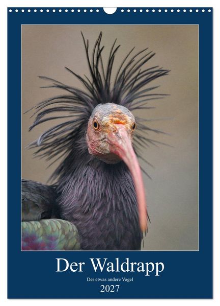 Der Waldrapp - Der etwas andere Vogel (Wandkalender 2027 DIN A3 hoch) CALVENDO Monatskalender