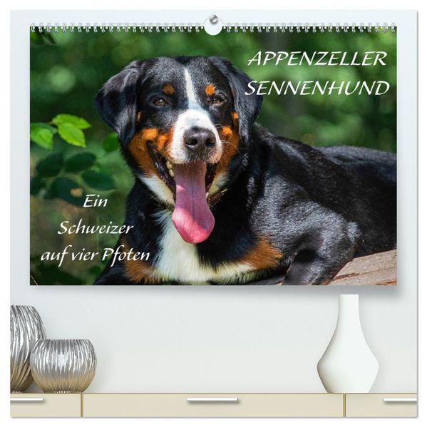 Appenzeller Sennenhund - Ein Schweizer auf 4 Pfoten (hochwertiger Premium Wandkalender 2027 DIN A2 quer) Kunstdruck in Hochglanz