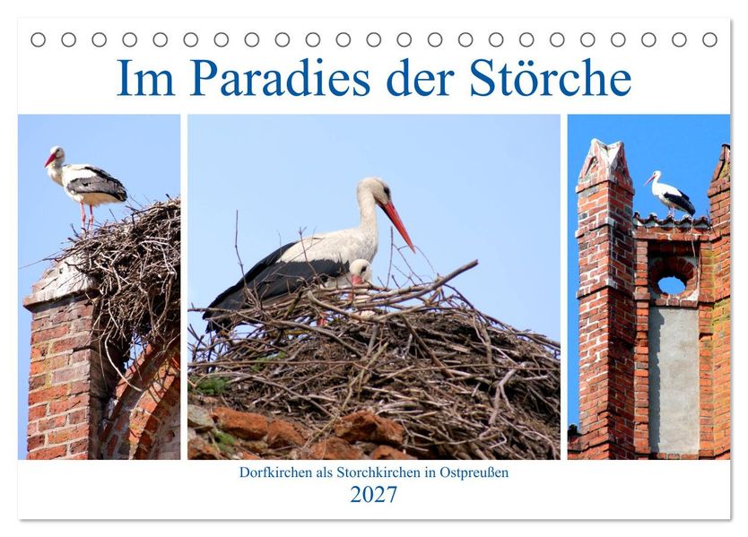Im Paradies der Störche - Dorfkirchen als Storchkirchen in Ostpreußen (Tischkalender 2027 DIN A5 quer) CALVENDO Monatskalender