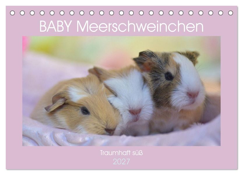 BABY Meerschweinchen Traumhaft süß (Tischkalender 2027 DIN A5 quer) CALVENDO Monatskalender