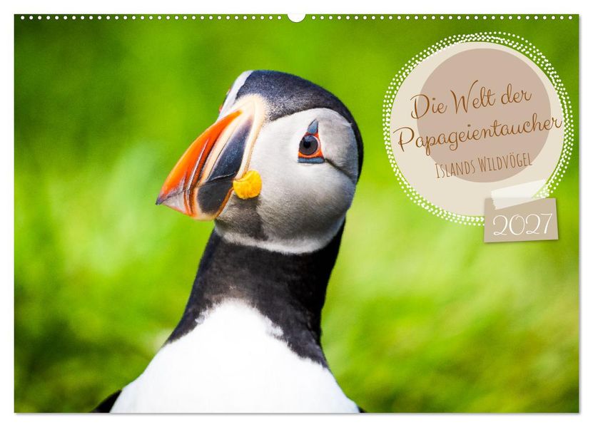 Die Welt der Papageientaucher - Islands Wildvögel (Wandkalender 2027 DIN A2 quer) CALVENDO Monatskalender
