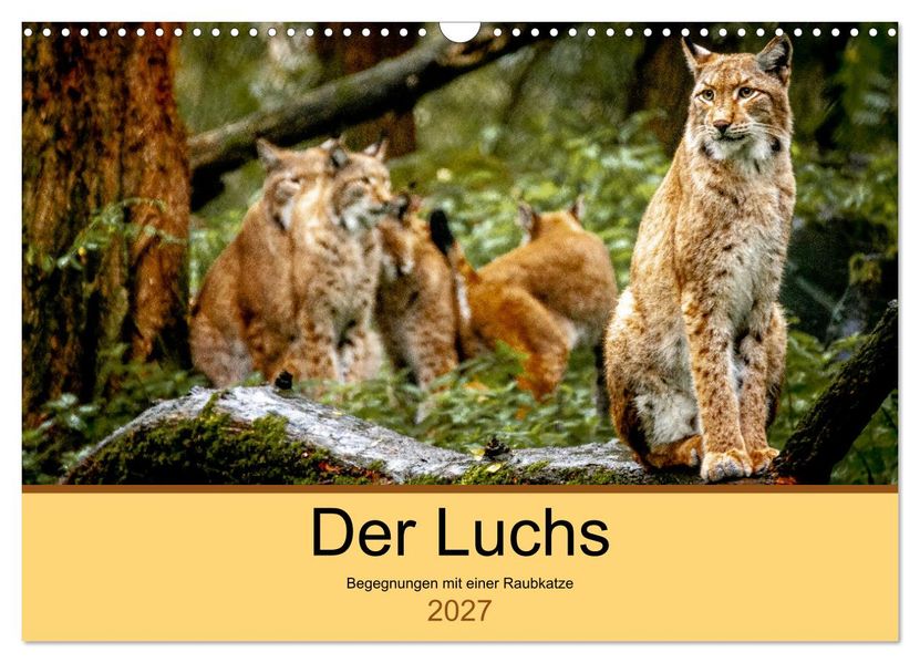 Der Luchs - Begegnungen mit einer Raubkatze (Wandkalender 2027 DIN A3 quer) CALVENDO Monatskalender