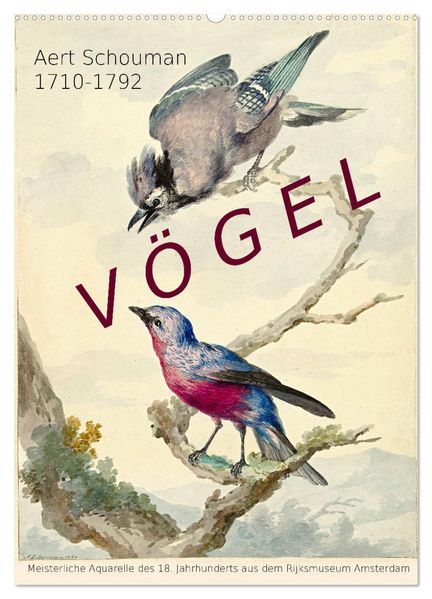 Aert Schouman. VÖGEL (Wandkalender 2027 DIN A2 hoch) CALVENDO Monatskalender
