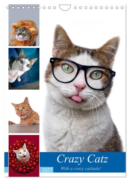 Crazy Catz. (Wandkalender 2027 DIN A4 hoch) CALVENDO Monatskalender
