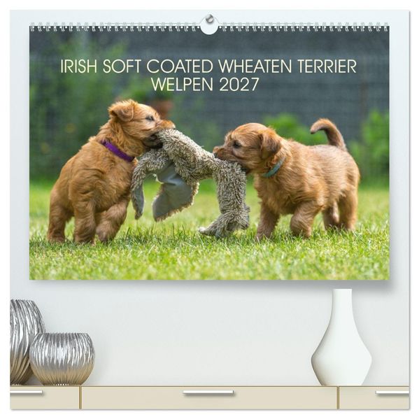 IRISH SOFT COATED WHEATEN TERRIER WELPEN 2027 (hochwertiger Premium Wandkalender 2027 DIN A2 quer) Kunstdruck in Hochglanz