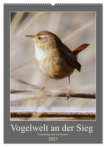 Vogelwelt an der Sieg (Wandkalender 2027 DIN A2 hoch) CALVENDO Monatskalender