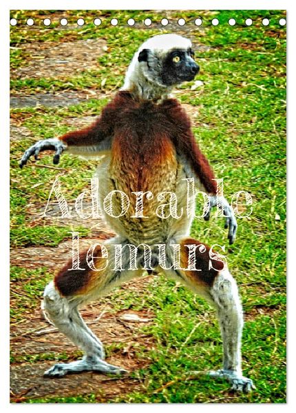Adorable lemurs (Desk Calendar 2027 DIN A5 portrait) CALVENDO 12 Month DeskCalendar