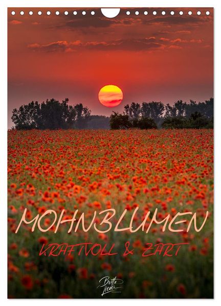 Mohnblumen - kraftvoll und zart (Wandkalender 2027 DIN A4 hoch) CALVENDO Monatskalender