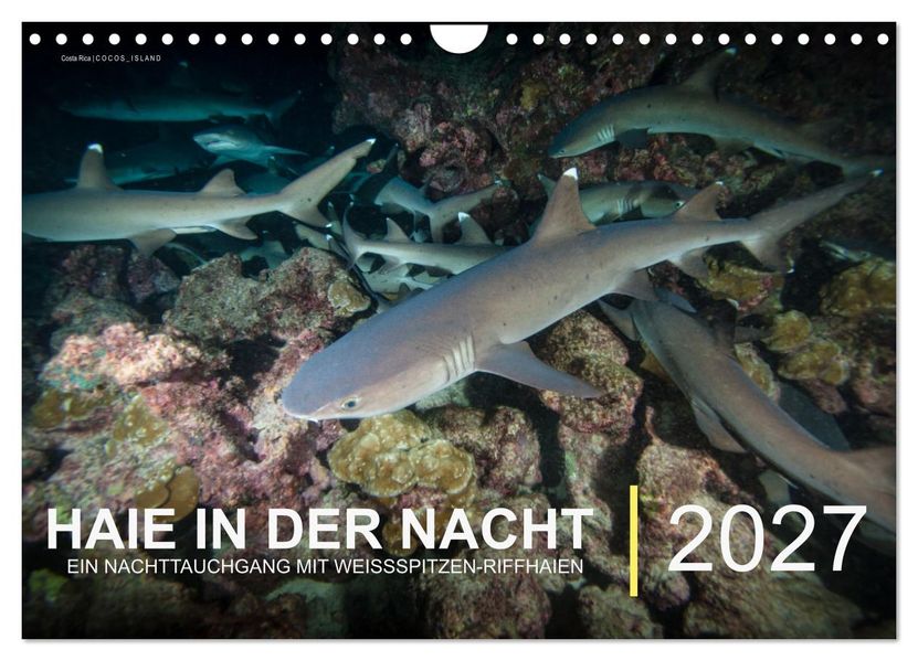 Haie in der Nacht (Wandkalender 2027 DIN A4 quer) CALVENDO Monatskalender