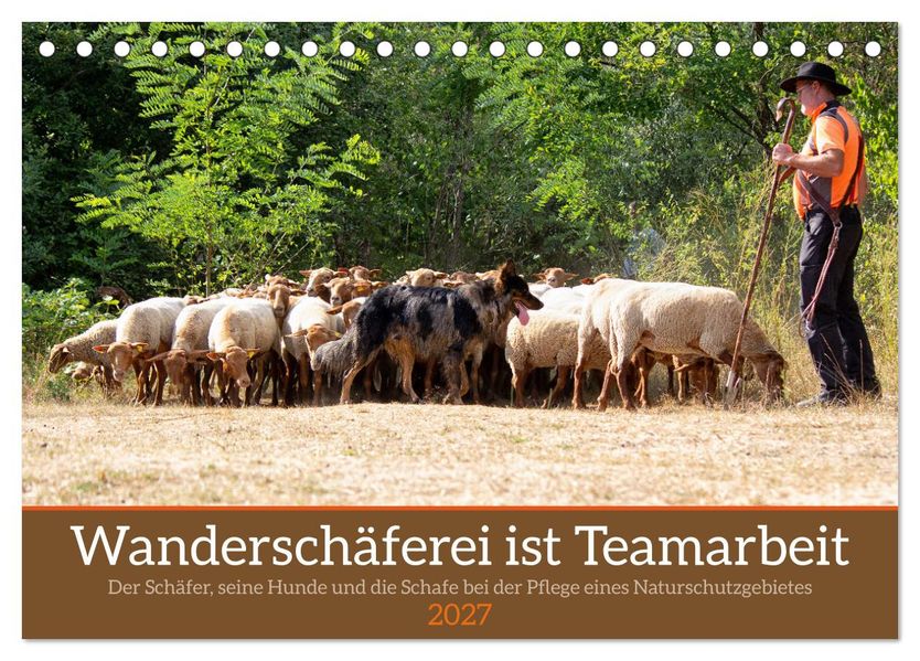 Wanderschäferei ist Teamarbeit (Tischkalender 2027 DIN A5 quer) CALVENDO Monatskalender