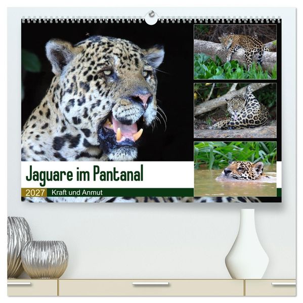 Jaguare im Pantanal (hochwertiger Premium Wandkalender 2027 DIN A2 quer) Kunstdruck in Hochglanz
