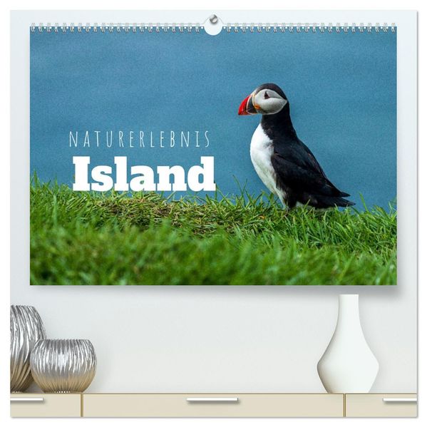 Naturerlebnis Island (hochwertiger Premium Wandkalender 2027 DIN A2 quer) Kunstdruck in Hochglanz