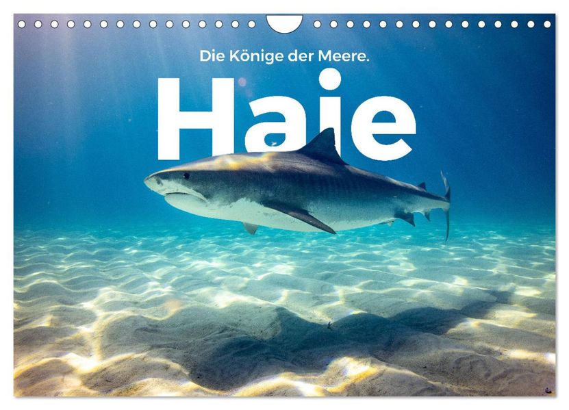Haie - Könige der Meere. (Wandkalender 2027 DIN A4 quer) CALVENDO Monatskalender