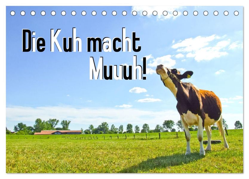 Die Kuh macht Muuuh! (Tischkalender 2027 DIN A5 quer) CALVENDO Monatskalender