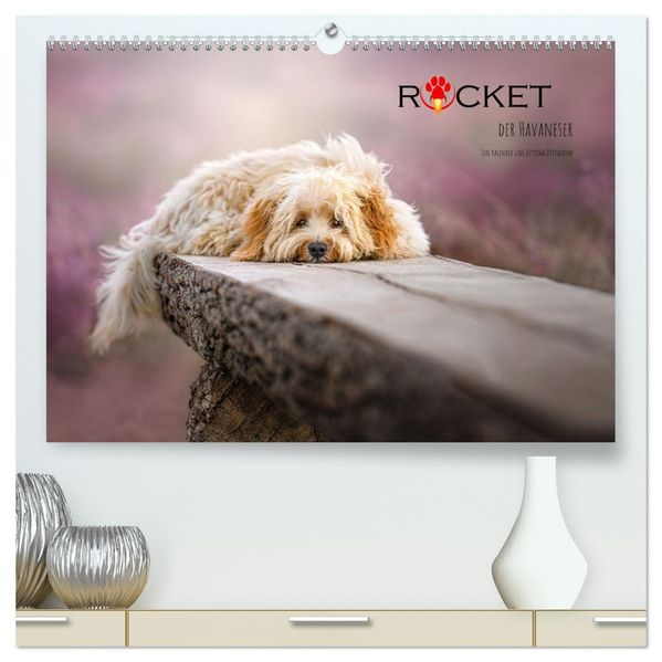 Rocket der Havaneser (hochwertiger Premium Wandkalender 2027 DIN A2 quer) Kunstdruck in Hochglanz
