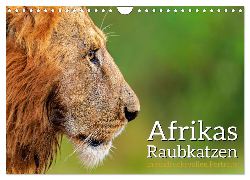 Afrikas Raubkatzen in eindrucksvollen Portraits (Wandkalender 2027 DIN A4 quer) CALVENDO Monatskalender