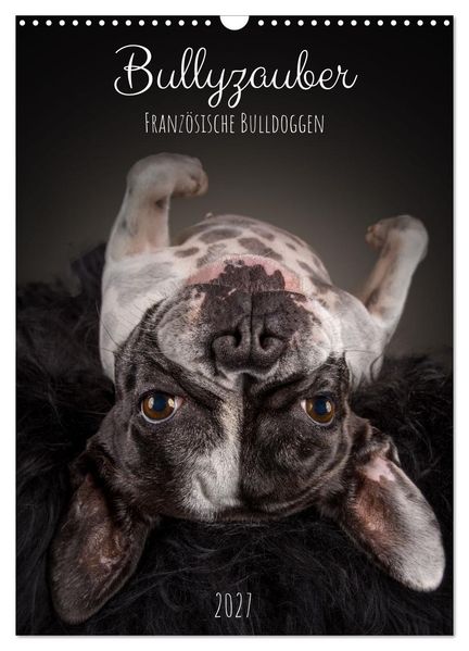 Bullyzauber - Französische Bulldoggen (Wandkalender 2027 DIN A3 hoch) CALVENDO Monatskalender